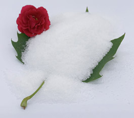  &iquest;Qu&eacute; tipo de poliacrilamida es m&aacute;s eficaz para tratar las aguas residuales de lavado de coches?