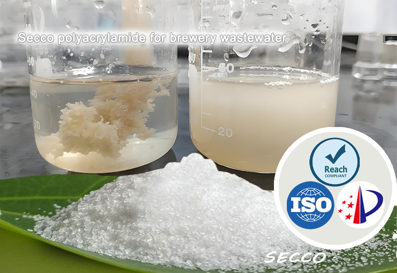 Selección y Eficacia de la Poliacrilamida (PAM) en el Tratamiento de Aguas Residuales de Cervecerías